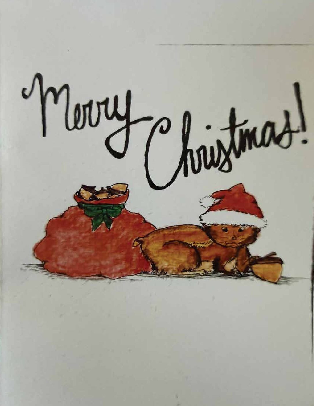 Kitten Christmas Card