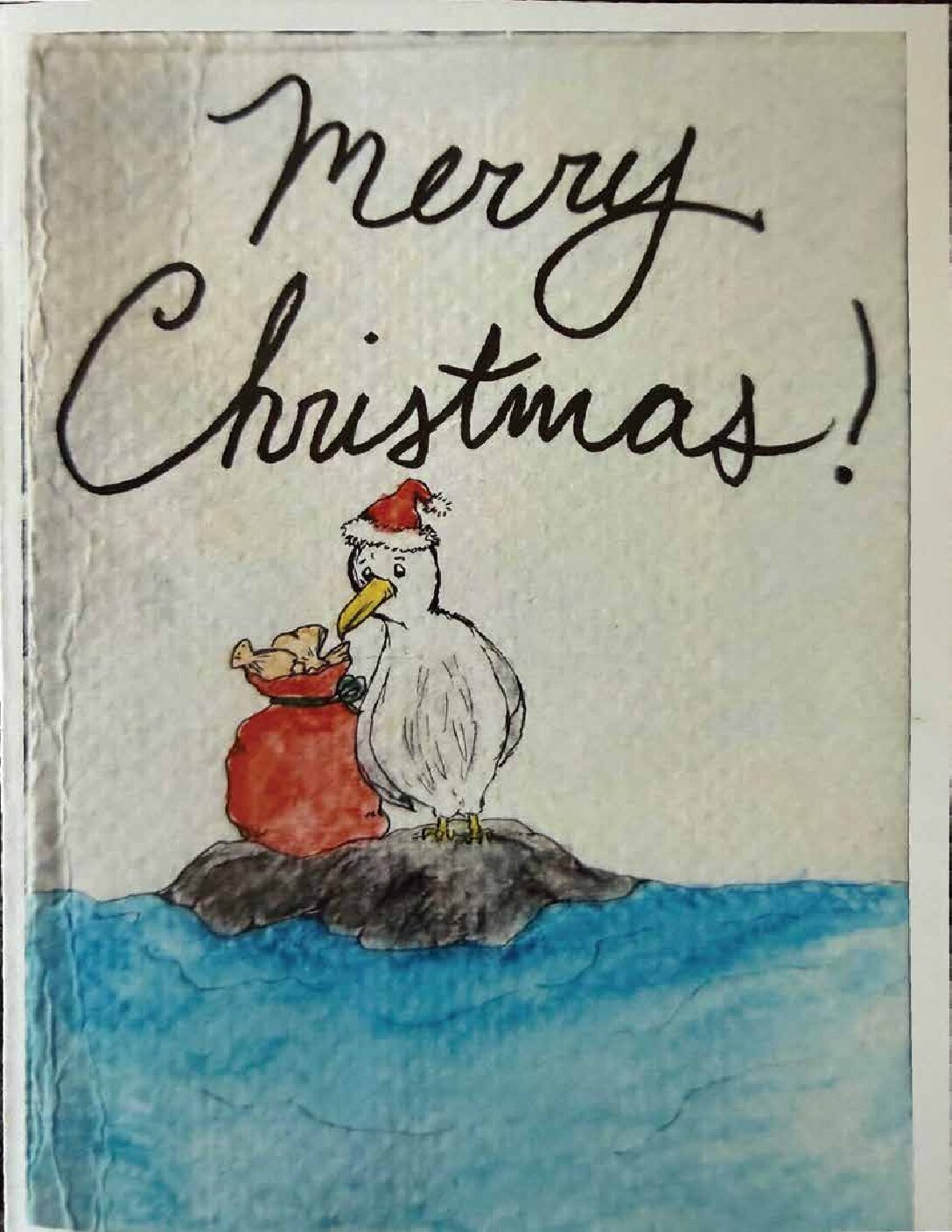 Seagull Christmas Card