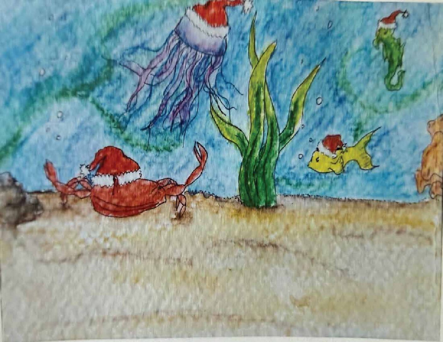 SeaLife Christmas Card