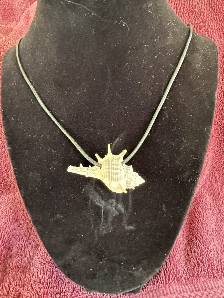 A detailed shell pendant on a black cord displayed on a dark mannequin bust, showcasing its unique design and texture.
