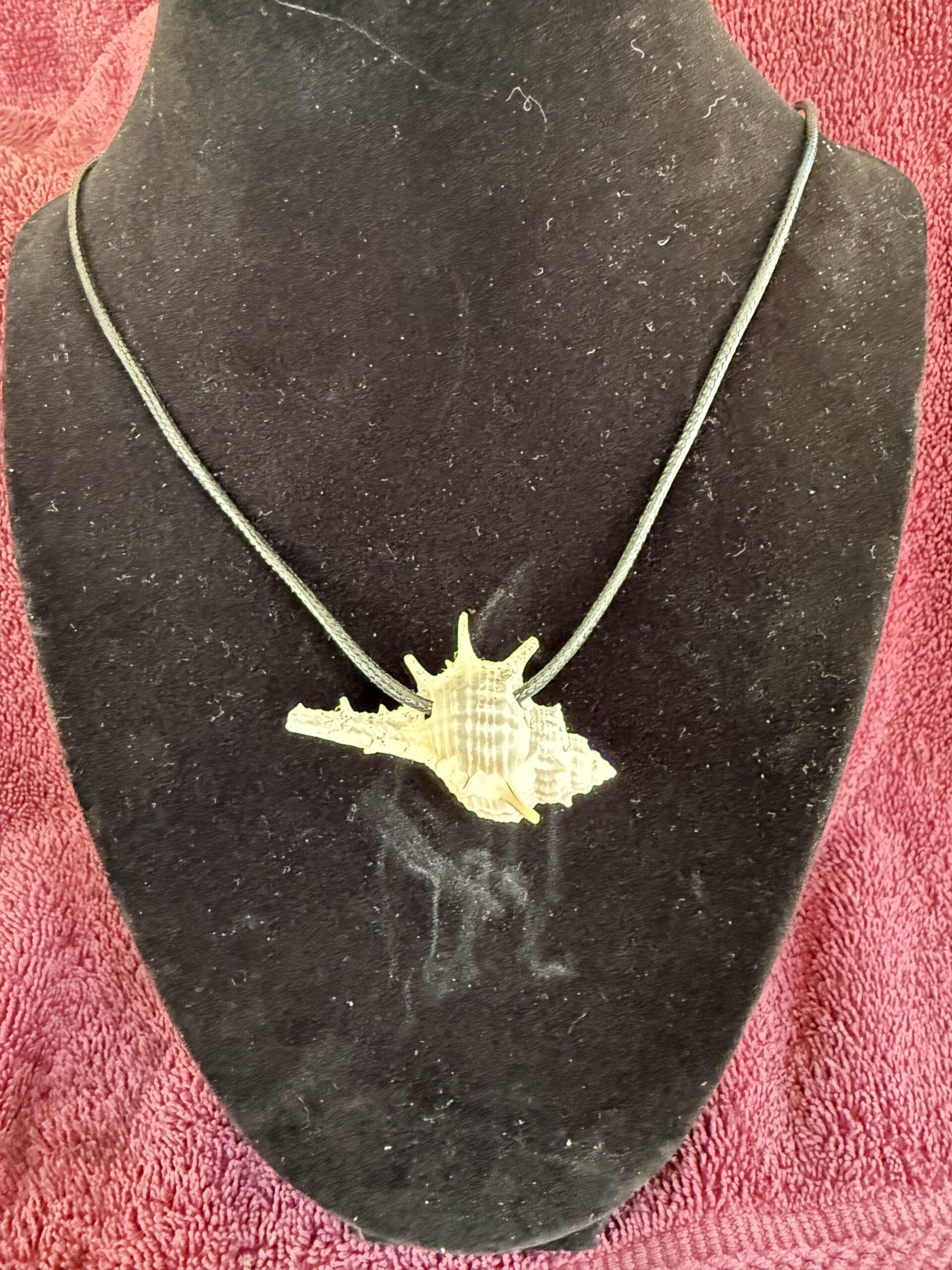 A detailed shell pendant on a black cord displayed on a dark mannequin bust, showcasing its unique design and texture.